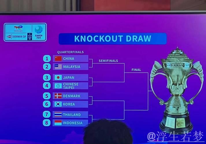 苏迪曼杯小组赛:日本对阵马来西亚第三场比赛 苏迪曼杯小组赛:日本对阵马来西亚第三场比赛